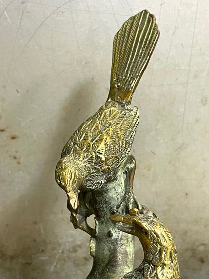 นก คู่ทองเหลืองสะสม รูปที่ 6