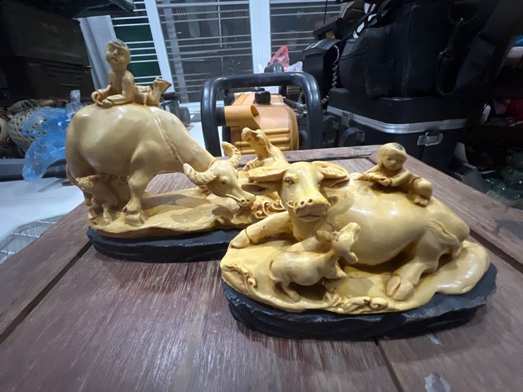 เด็กเลี้ยงควายเก่า