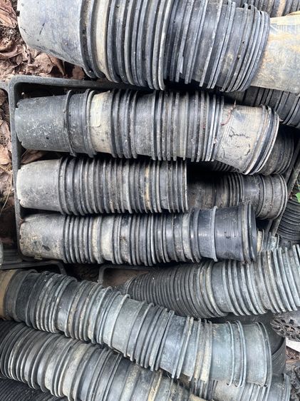 กระถางต้นไม้มือสอง คุณภาพดี ขายแพคละ 10 กระถาง ราคาถูกมากๆค่ะ มารับเองลดราคาให้อีกค่ะ รูปที่ 2