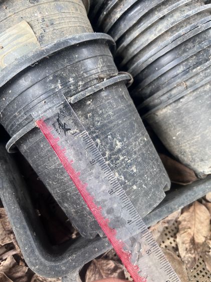 กระถางต้นไม้มือสอง คุณภาพดี ขายแพคละ 10 กระถาง ราคาถูกมากๆค่ะ มารับเองลดราคาให้อีกค่ะ รูปที่ 6