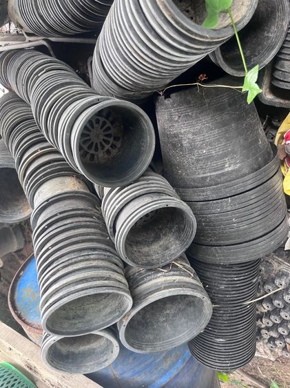 กระถางต้นไม้มือสอง คุณภาพดี ขายแพคละ 10 กระถาง ราคาถูกมากๆค่ะ มารับเองลดราคาให้อีกค่ะ รูปที่ 13