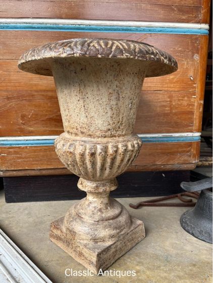 กระถางหลุยส์ เหล็กหล่อใบใหญ่ A5 รูปที่ 8