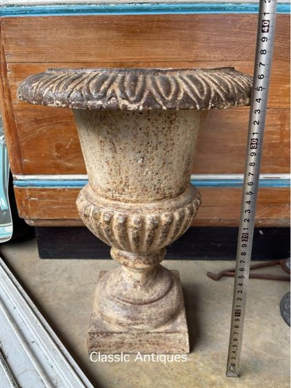 กระถางหลุยส์ เหล็กหล่อใบใหญ่ A5 รูปที่ 11