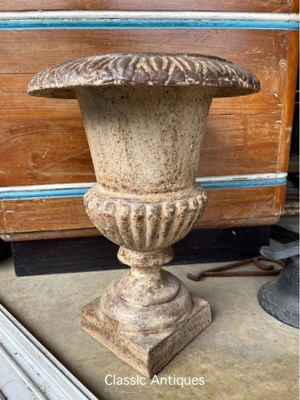 กระถางหลุยส์ เหล็กหล่อใบใหญ่ A5 รูปที่ 6