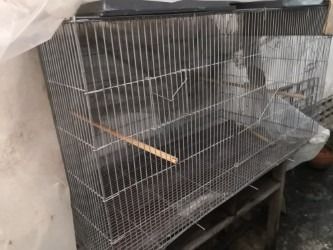 ขายกรงนกขนาดใหญ่ 1.2 เมตร รูปที่ 2