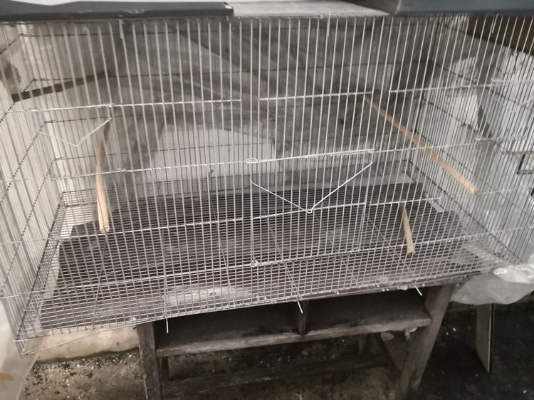 กรง คอกและประตู ขายกรงนกขนาดใหญ่ 1.2 เมตร