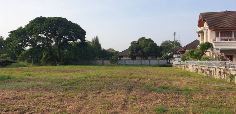 ไม่ใช่ ขายที่ดินสวย ติดคลองมหาสวัสดิ์ กลางสวนผัก ตลิ่งชั่น พื้นที่ 1.7 ไร่ ราคา 75 ลบ. สนใจติดต่อ คุณปุ้ย 089-920-9893 รูปที่ 4