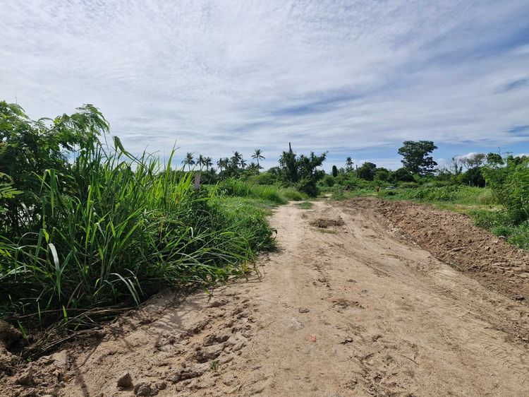 ไม่ใช่ ขายที่ดินทำเลดี  8 ไร่  ชลบุรี  ใกล้หมู่บ้านดุสิตพัทยา  วัดญาณสังวราราม   ตลาดโบราณบ้านจีน  ราคาขายรวม 33 ลบ. หรือ แบ่งขายไร่ละ 4 ลบ.  รูปที่ 3