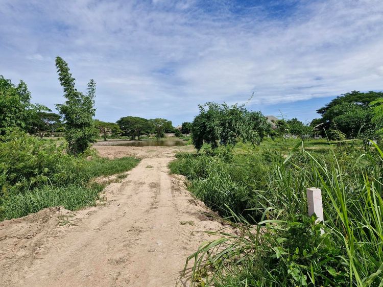 ไม่ใช่ ขายที่ดินทำเลดี  8 ไร่  ชลบุรี  ใกล้หมู่บ้านดุสิตพัทยา  วัดญาณสังวราราม   ตลาดโบราณบ้านจีน  ราคาขายรวม 33 ลบ. หรือ แบ่งขายไร่ละ 4 ลบ.  รูปที่ 2