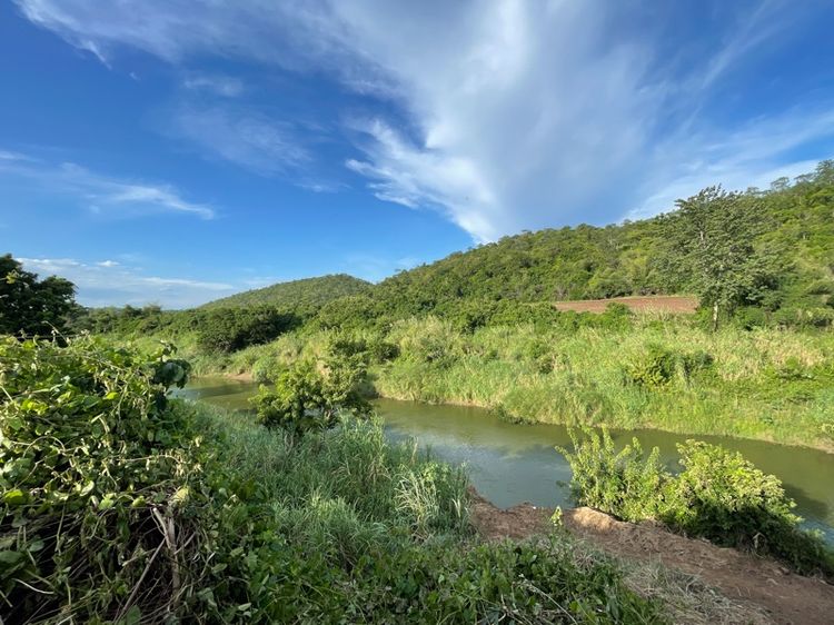 ไม่ใช่ ขายที่ดินติดแม่น้ำป่าสัก วิวเขา ไร่ละ6แสน