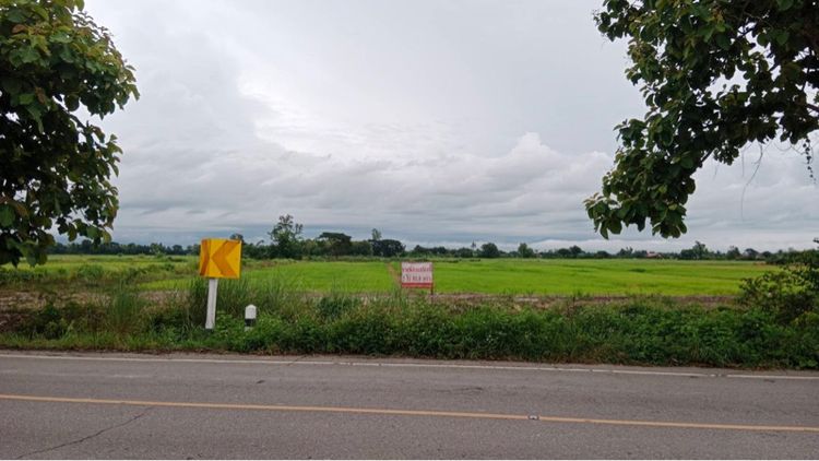 ขายที่นา 7 ไร่ 93.8 ตรว.ต.ดอยงาม อ.พาน จ.เชียงราย รูปที่ 3