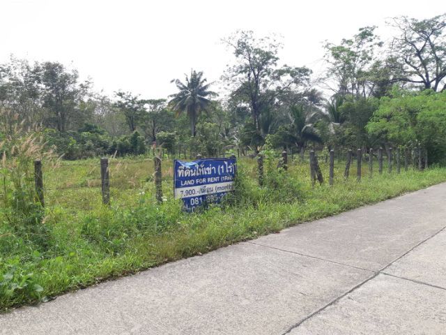 ที่ดินเปล่านาใต้พร้อมโอนเจ้าของขายเอง ราคาต่อรองกันได้ รูปที่ 3