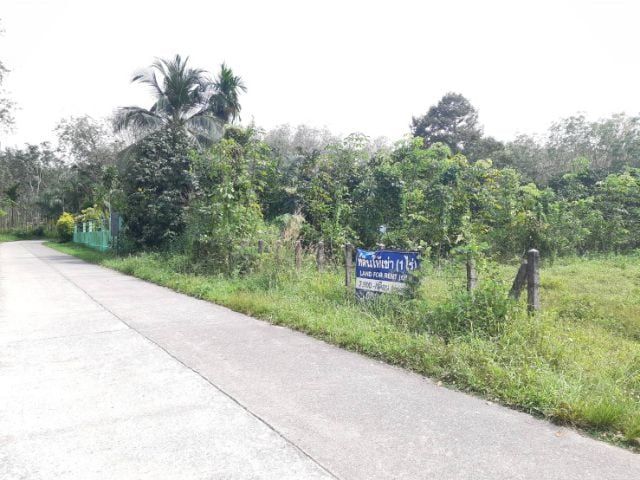 ที่ดินเปล่านาใต้พร้อมโอนเจ้าของขายเอง ราคาต่อรองกันได้