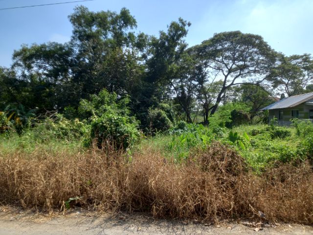 เช่า,ขายที่ดินคลองห้า ซ.คลองห้าตะวันออก 7  รูปที่ 2