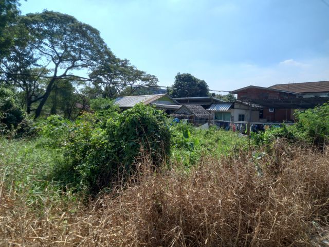 เช่า,ขายที่ดินคลองห้า ซ.คลองห้าตะวันออก 7  รูปที่ 3