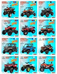 ATV UTV 125-1000cc สำหรับสนามเช่า และรีสอร์ท