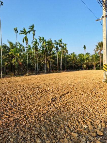 ให้เช่าที่ดิน ติด ถ.พุทธมลฑลสาย6 ใกล้โรงงานเสื้อแตงโม ตลาดน้ำดอนหวาย รูปที่ 3