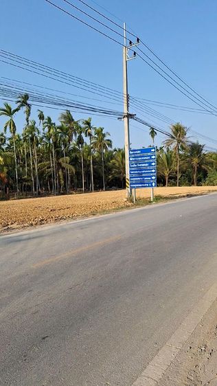 ให้เช่าที่ดิน ติด ถ.พุทธมลฑลสาย6 ใกล้โรงงานเสื้อแตงโม ตลาดน้ำดอนหวาย รูปที่ 4