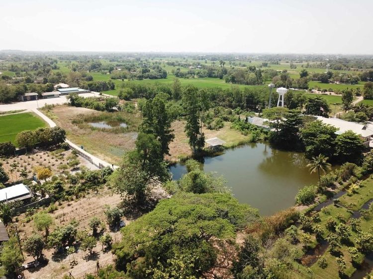 ขายที่ดินสวย ขนาด6ไร่76ตารางวา ต.ห้วยบง สระบุรี รูปที่ 3