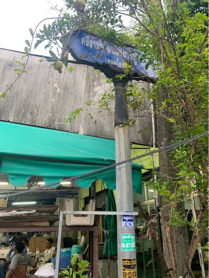 ไม่ใช่ ที่ดินผืนใหญ่ ใกล้โรบินสันศรีราชา 900 ม. รูปที่ 4