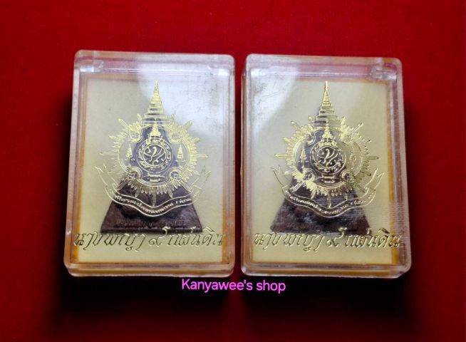 สมเด็จนางพญา 9 แผ่นดิน พระราชพิธีมหามงคลเฉลิมพระชนมพรรษา 6 รอบ 5 ธันวาคม 2542 รูปที่ 8