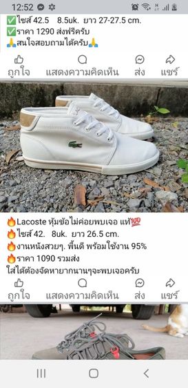 Lacoste Ampthill 216 หุ้ม้อ us10 eu43 27.5cm. รูปที่ 9