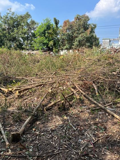 ที่ดินทำเลทอง ซอยเพชรเกษม 77 แยก 4-1 รูปที่ 2