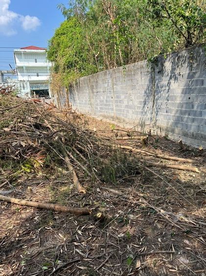 ที่ดินทำเลทอง ซอยเพชรเกษม 77 แยก 4-1