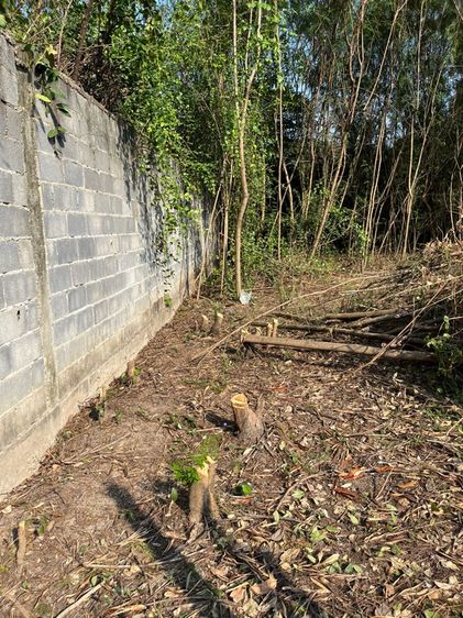 ที่ดินทำเลทอง ซอยเพชรเกษม 77 แยก 4-1 รูปที่ 4