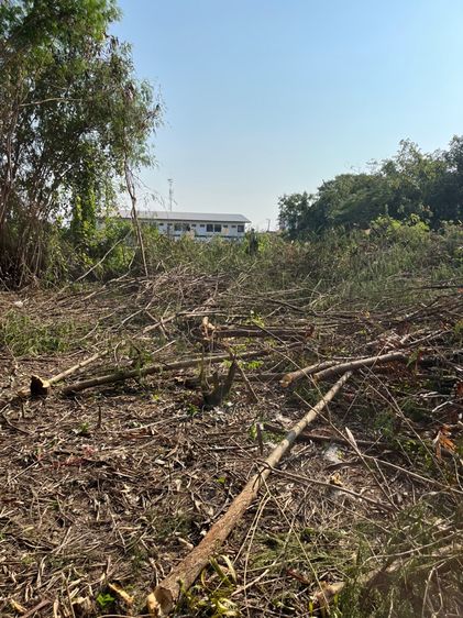 ที่ดินทำเลทอง ซอยเพชรเกษม 77 แยก 4-1 รูปที่ 3