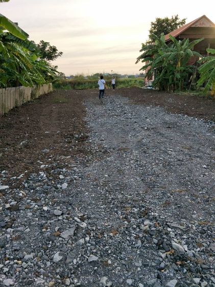 ขายที่ดินลำต้อยติ่งติดคลอง อ.หนองจอก กทม. รวมโอน รูปที่ 3