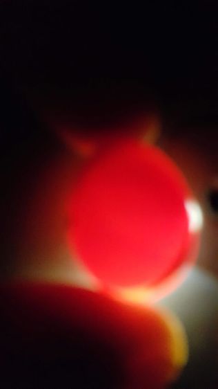 ขายไข่นกต๊อกคาเทล รูปที่ 3