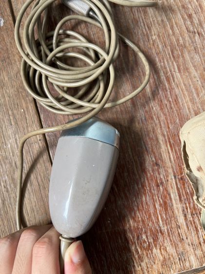 ไมล์โคโฟโบราณ รูปที่ 6