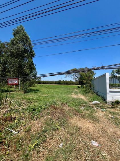 ที่ดิน4ไร่ ปทุมฯลาดหลุมแก้ว ราคากันเอง รูปที่ 3