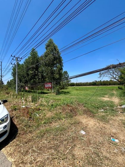 ที่ดิน4ไร่ ปทุมฯลาดหลุมแก้ว ราคากันเอง