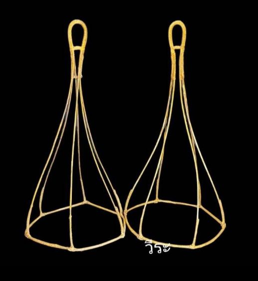 15สาเเหรก, สาเเหรกหวาย, สาเเหรกหวายโบราณ รูปที่ 2