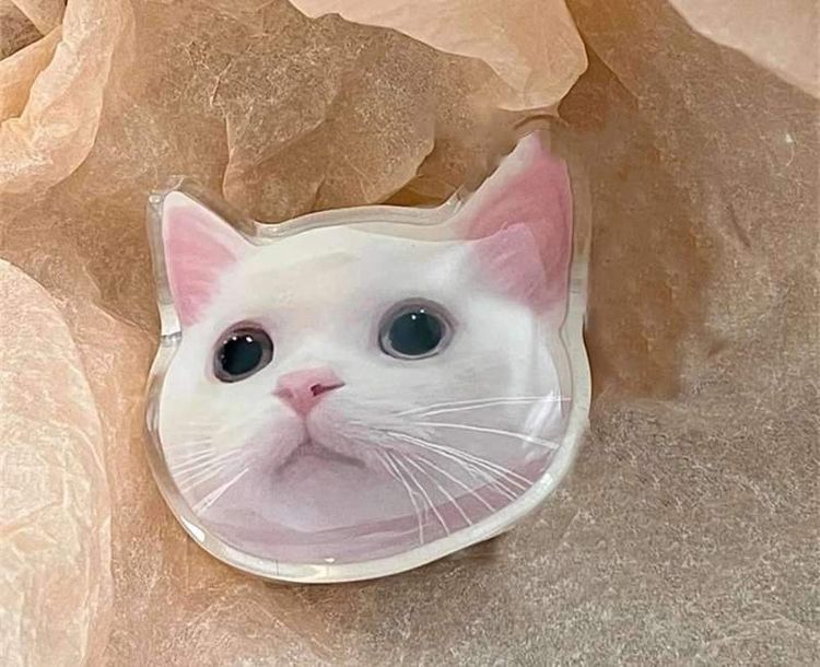 ที่ติดหลังมือถือ กริ๊บ​ต๊อก​ ลายน้องเหมียว ที่ตั้งมือถือ ที่จับโทรศัพท์ ที่ติดหลังมือถือลายใบไม้ ไม่มีปลายทาง รูปที่ 8