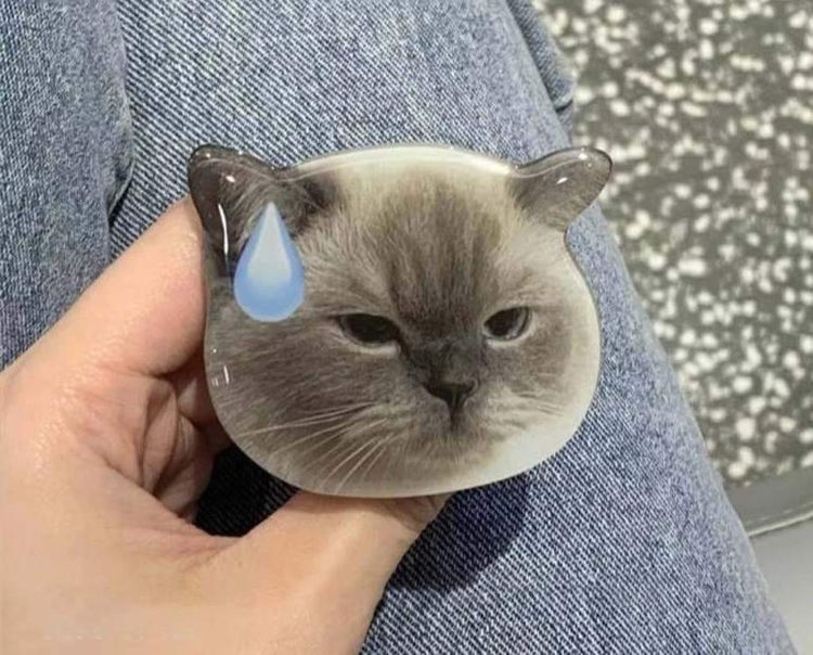 ที่ติดหลังมือถือ กริ๊บ​ต๊อก​ ลายน้องเหมียว ที่ตั้งมือถือ ที่จับโทรศัพท์ ที่ติดหลังมือถือลายใบไม้ ไม่มีปลายทาง รูปที่ 7