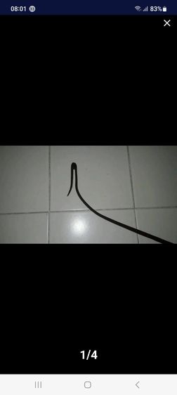 129ที่จับปลาหลด, ไม้สำหรับจับปลาหลดโบราณเเกะสลัก, ไม้จับปลาหลด รูปที่ 2