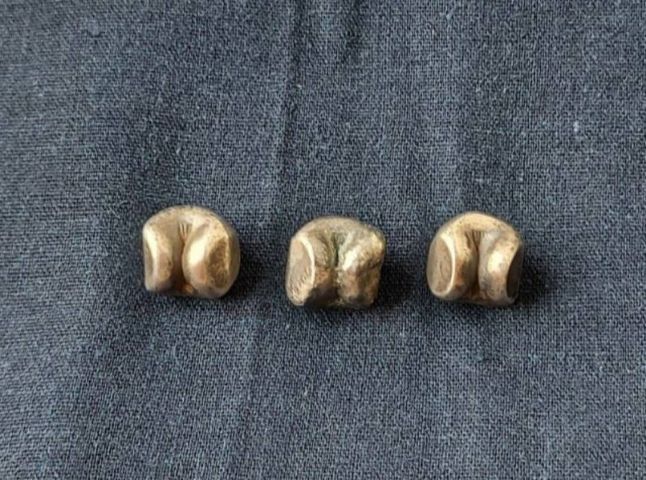 194เงินพดด้วง, พดด้วง รูปที่ 2