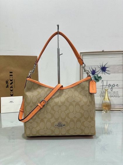 COACH (11”) ครบสี  รูปที่ 3