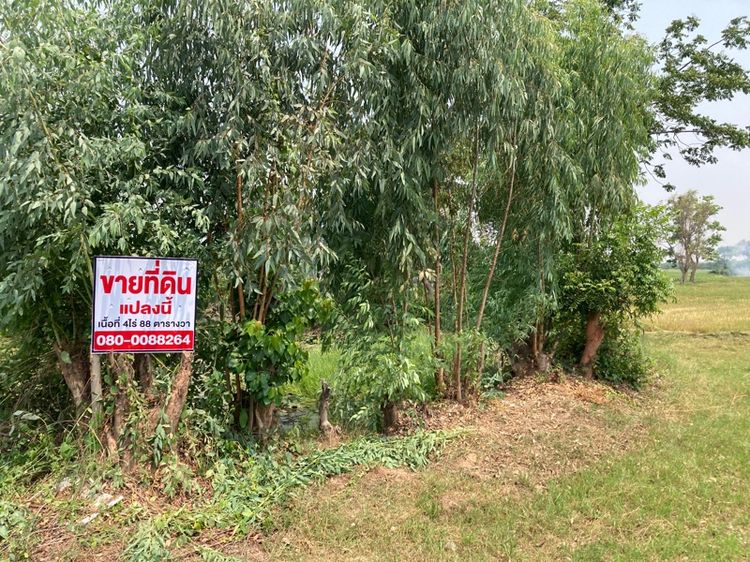 ที่ดิน 7 ไร่ รูปที่ 3