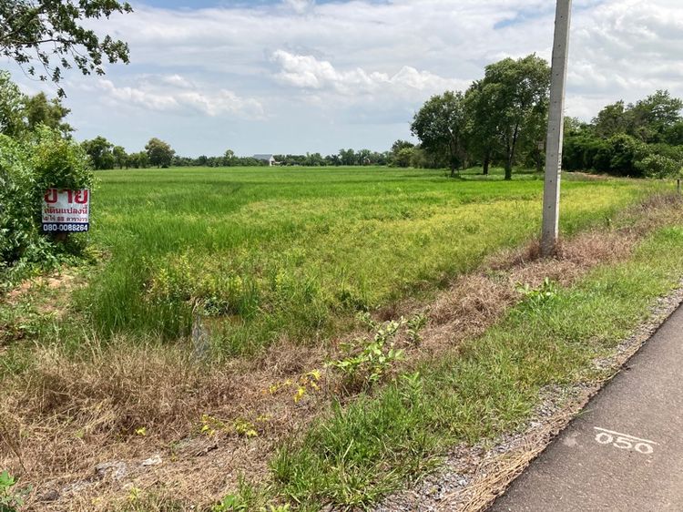 ที่ดิน 7 ไร่