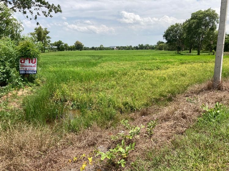ที่ดิน 7 ไร่ รูปที่ 2