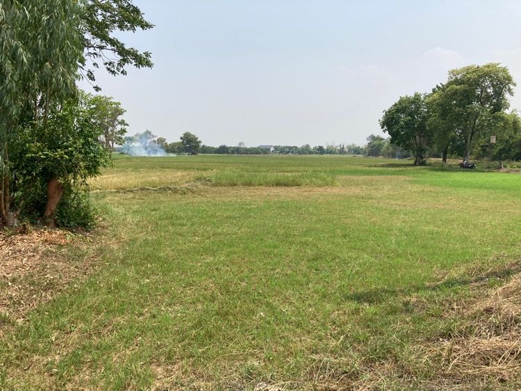 ที่ดิน 7 ไร่ รูปที่ 4