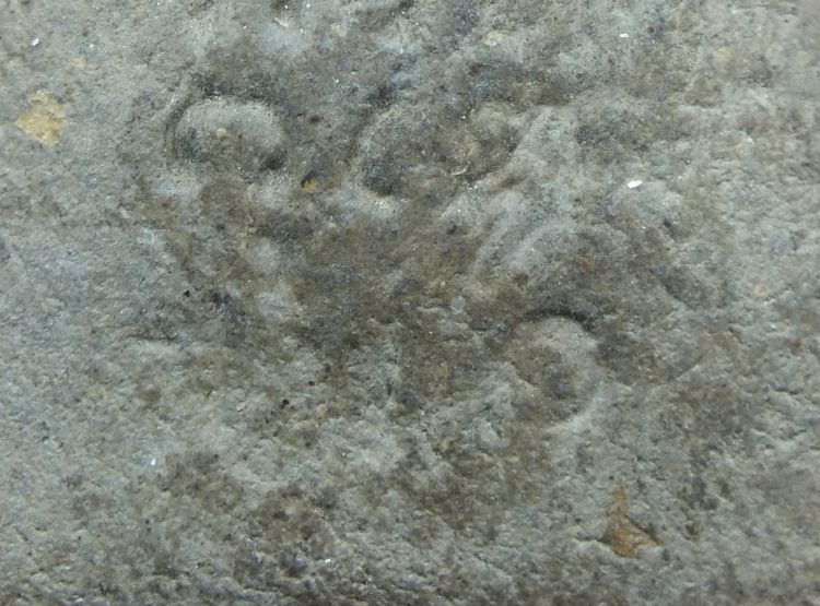 พระรูปเหมือนพ่อท่านคล้าย รุ่น สข1 ปี 2500 พิมพ์ใหญ่ เนื้อว่าน ผสมชานหมาก รูปที่ 7