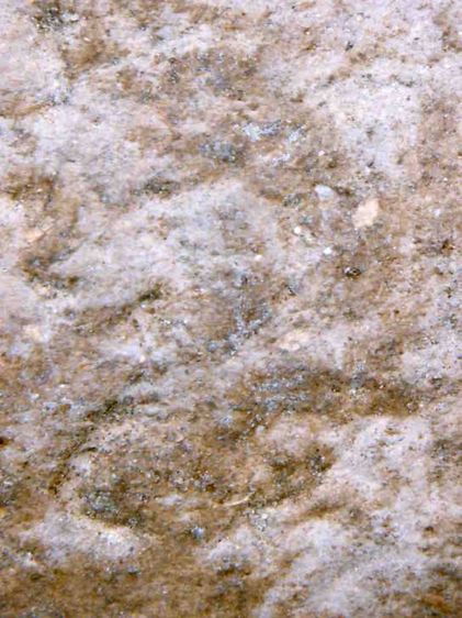 พระรูปเหมือนพ่อท่านคล้าย รุ่น สข1 ปี 2500 พิมพ์ใหญ่ เนื้อว่าน ผสมชานหมาก รูปที่ 14