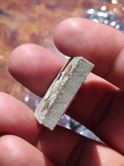 สมเด็จเสาร์ห้า สมเด็จแจกทาน ปี64 หลวงปู่มหาศิลา สิริจันโท วัดโพธิ์ศรีสะอาด จ.กาฬสินธุ์ จารมือ อย่างสวย สมเด็จเสาร์ 5 ที่มีกล่อง เป็นมวลสารขอ รูปที่ 6