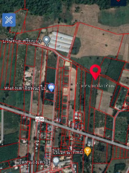 ขายที่ดิน จังหวัดพิษณุโลก อำเภอวังทอง ทางไป อำเภอเนินมะปราง 0898251551 รูปที่ 4