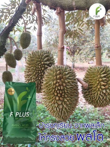 F-Plusไม่ใช่ปุ๋ย อาหารเสริมเพื่อสุขภาพพืช 2 นวัตกรรม สารเพิ่มประสิทธิภาพ อาหารพืชอะมิโนแอซิด Amino Acid รูปที่ 6